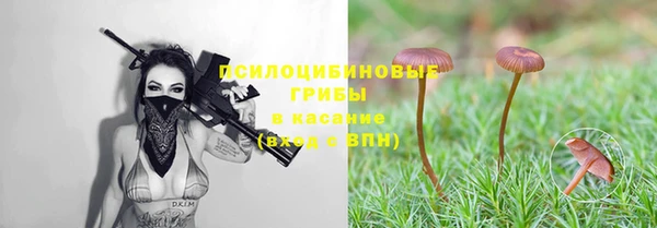 герыч Гусев