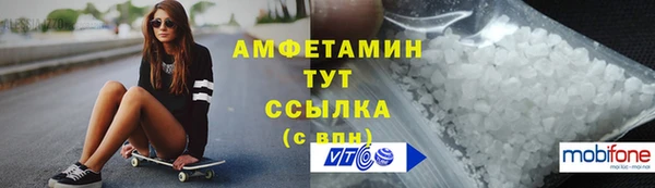 гидра Вяземский