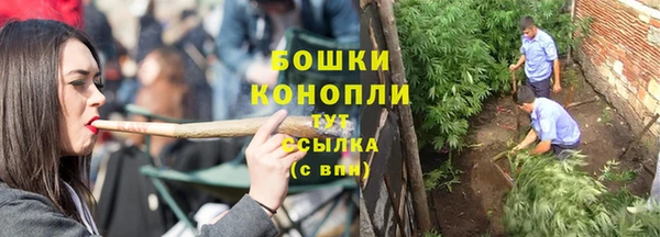 бошки Гусь-Хрустальный
