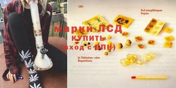 гашик Горняк