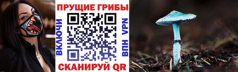 Галлюциногенные грибы MAGIC MUSHROOMS  Егорьевск 